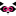 Media Racoon